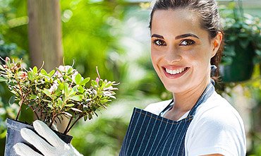 Abonados y semillados de jardines